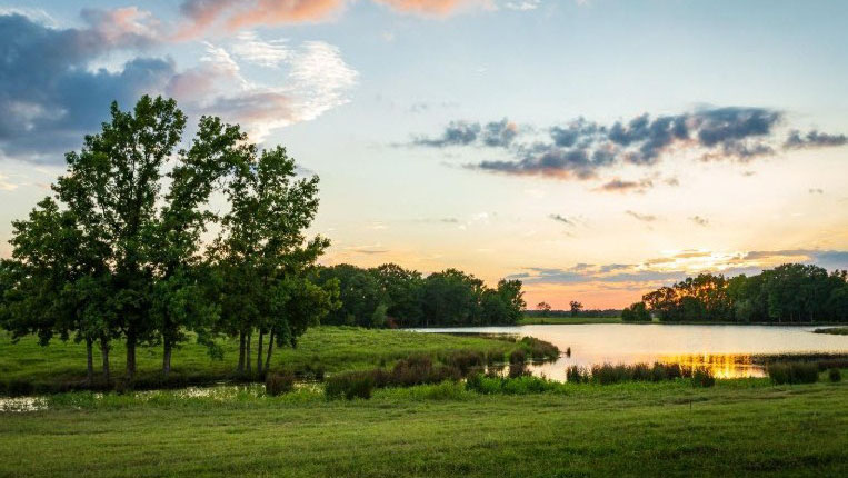 Conservation Easement for My Land