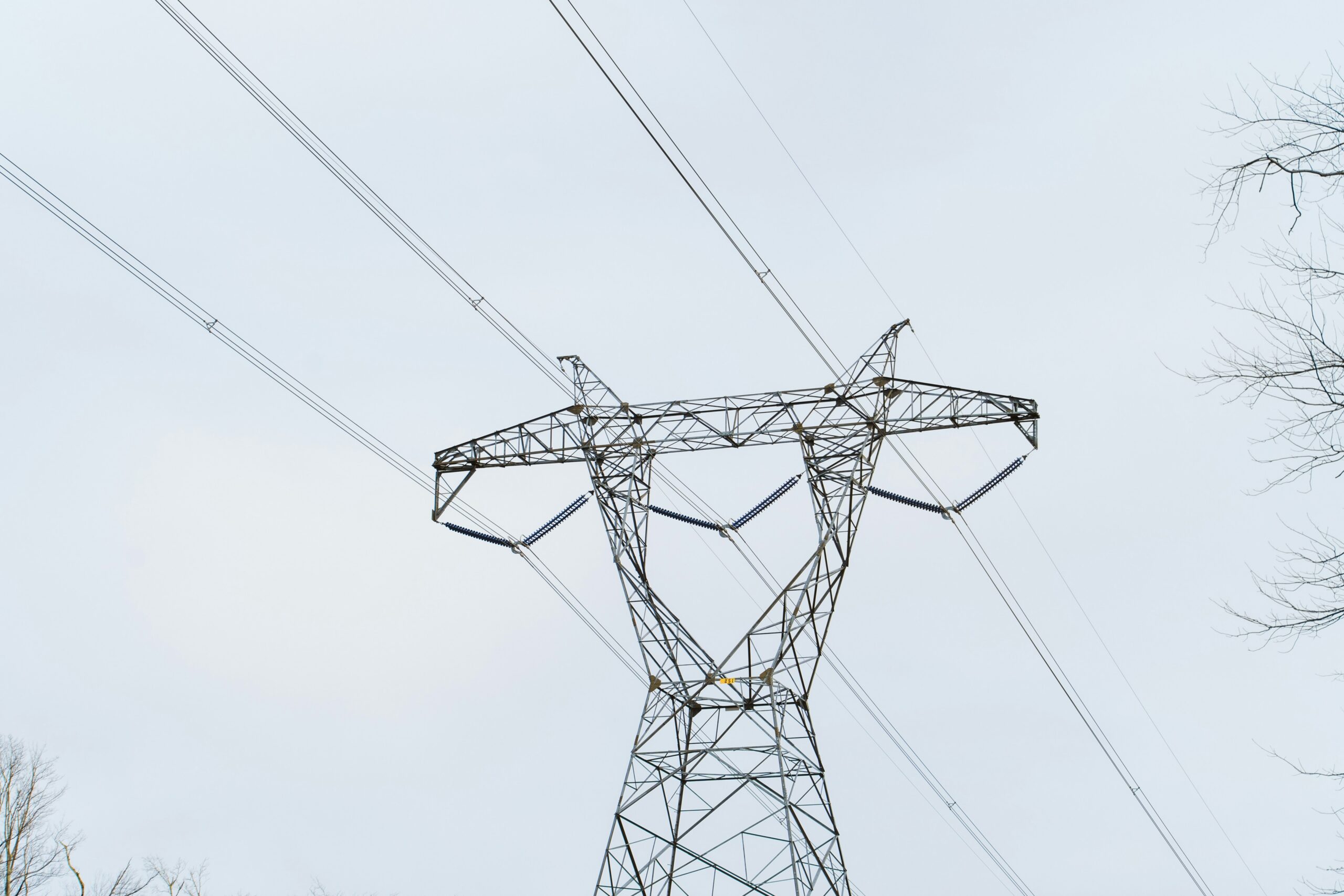 Southeast Texas Area Reliability Project (SETEX) | Braun & Gresham, PLLC.